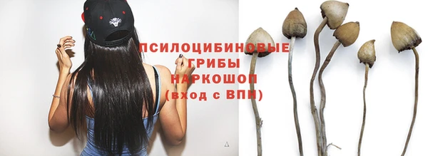 тгк Алексин