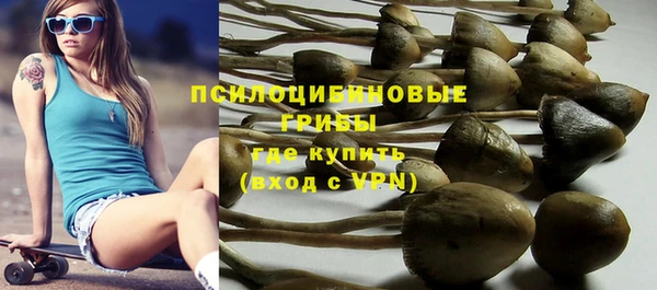 прущая мука Саяногорск
