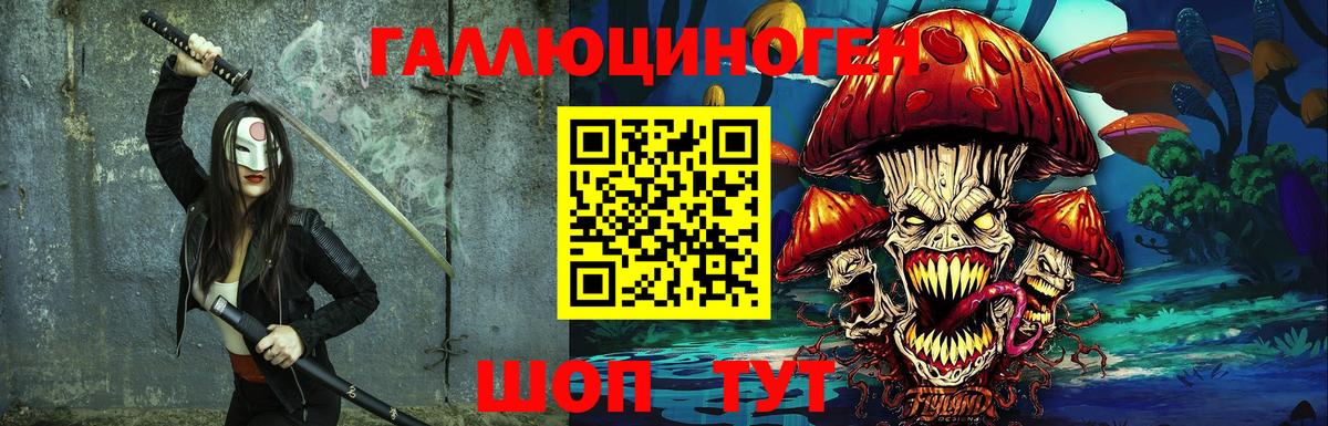 Галлюциногенные грибы Psilocybe Дубна
